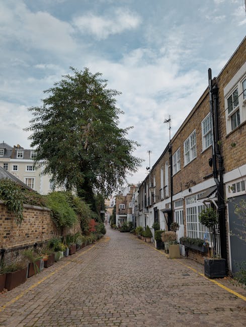 A narrow, cobblestone alleyway in a residential area with brick and white-painted terraced houses on the right side, featuring large sash windows and external black drainpipes. Potted plants and small