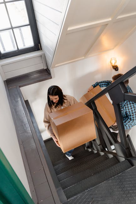 A woman and a young boy are seen carrying a cardboard box and a small potted plant down a staircase inside a home. The staircase is made of dark wood with a black railing, and the steps are covered wi
