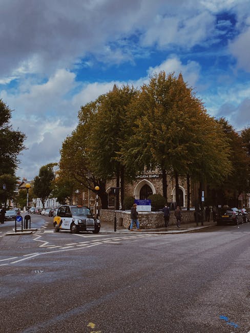 A wide, straight pathway in a green park with evenly spaced mature trees on both sides, their branches forming a canopy overhead. The pathway is occupied by several individuals sitting on black park benches, some appear to be resting, while others are engaged in conversations or using mobile devices. In the distance, groups of people can be seen walking, cycling, and standing, indicating a lively public space. The grass on either side of the pathway is neatly maintained, and dappled sunlight filters through the leaves, creating patterns of light and shadow on the ground. This outdoor scene is part of a city park or garden, ideal for leisure and relaxation during a home relocation process with moving services like those offered by Man and a Van West Kensington, who specialise in removals and furniture transport within West Kensington and surrounding areas.